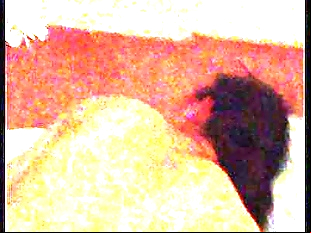 muslim girl fucked for cash - 3 min